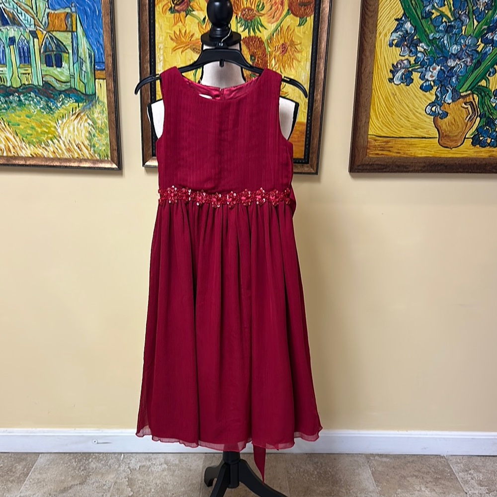 Elegant Red Kids Dress